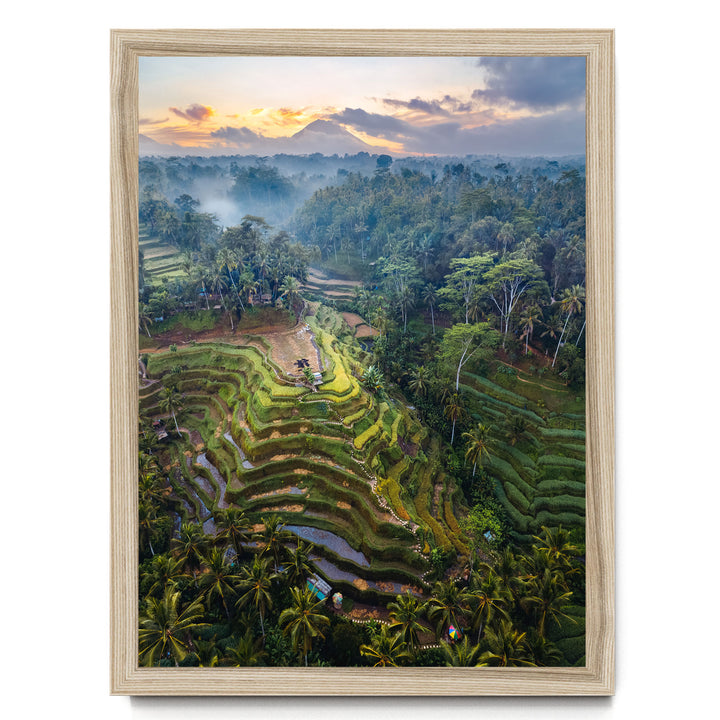 a lush, tropical landscape with terraced rice fields, palm trees, and a stunning sunset sky.