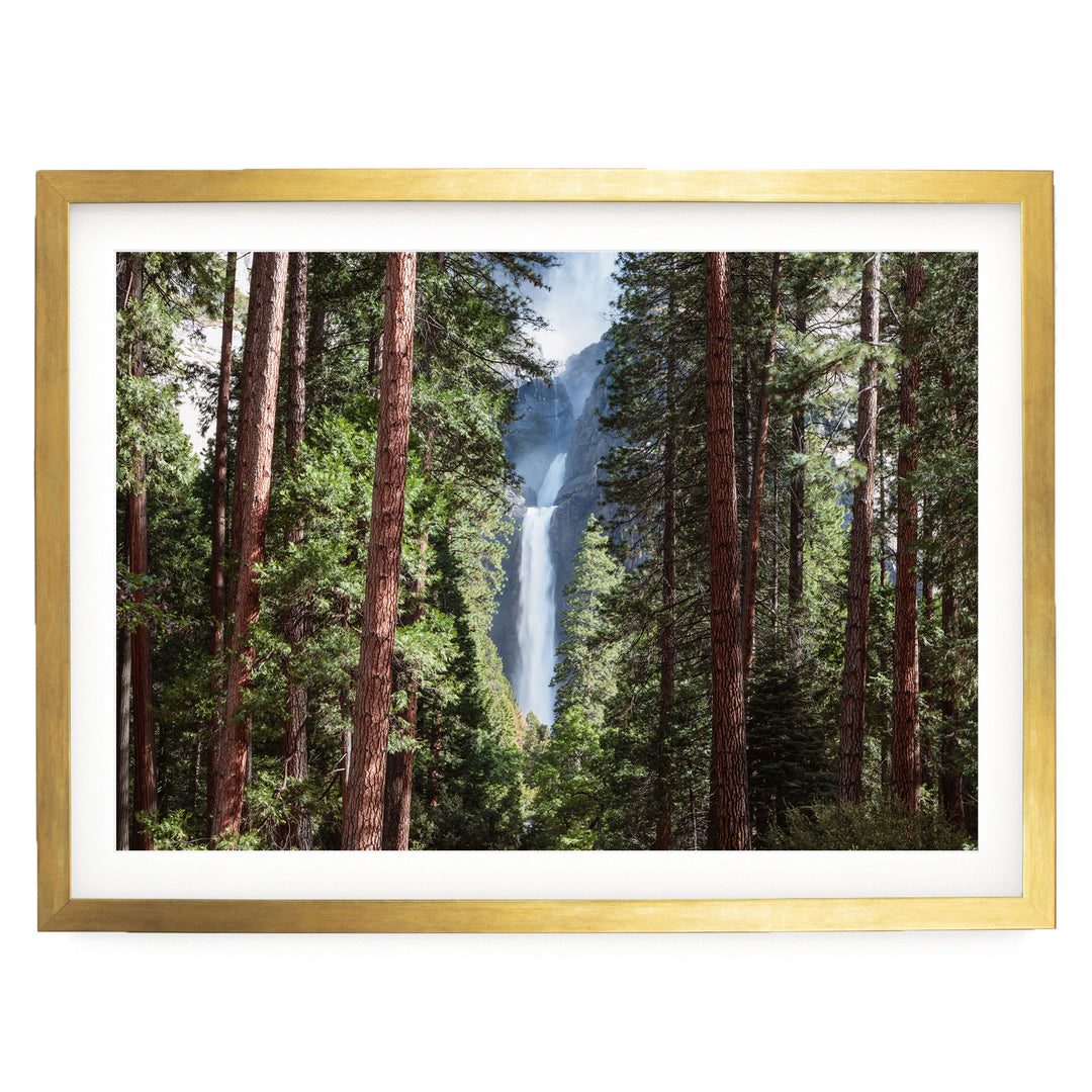 A framed photograph of a waterfall cascading through a dense forest of tall trees.