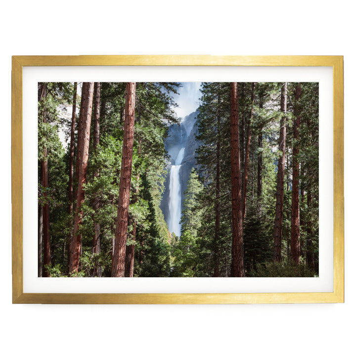 A framed photograph of a waterfall cascading through a dense forest of tall trees.