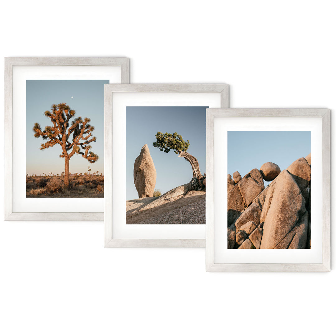 three framed photographs of rocks and a tree