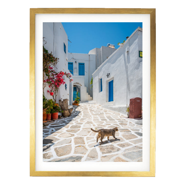 A dog is walking down a cobblestone street in a Mediterranean village, surrounded by white buildings with blue accents and colorful flowers.