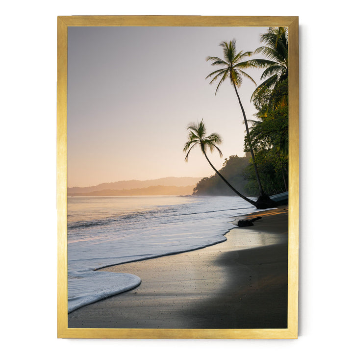 A serene tropical beach scene with palm trees lining the shoreline and a calm ocean in the background.