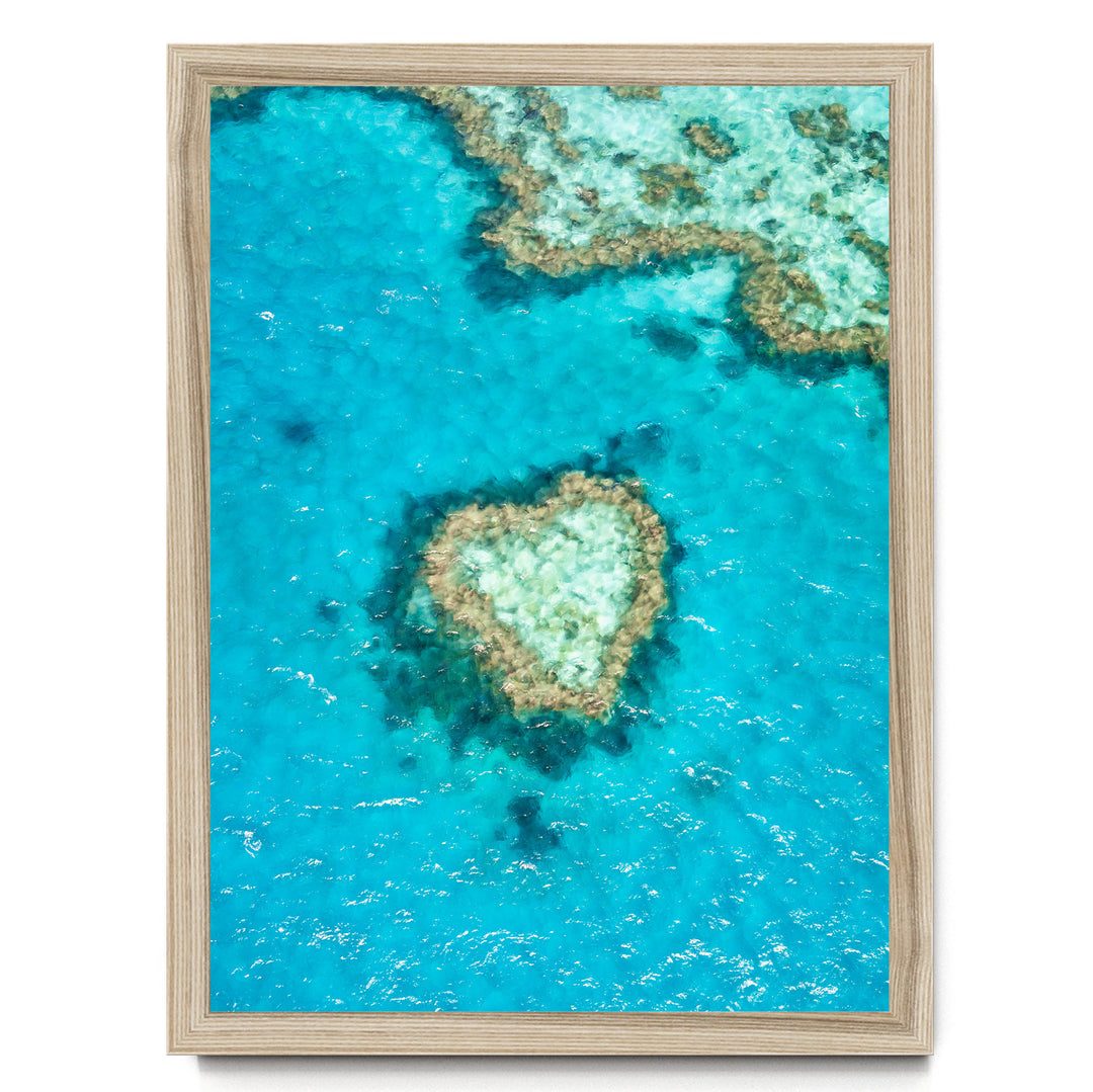 a heart-shaped coral reef in the middle of a clear blue ocean.