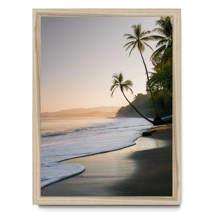 A serene beach scene at sunset, with palm trees lining the shore and the calm ocean gently lapping at the sand.