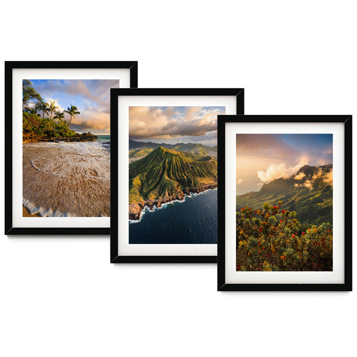 three framed pictures, each depicting different scenic landscapes. The first picture shows a beach with palm trees, the second picture depicts a mountainous landscape with a valley, and the third picture features a forest with colorful foliage.