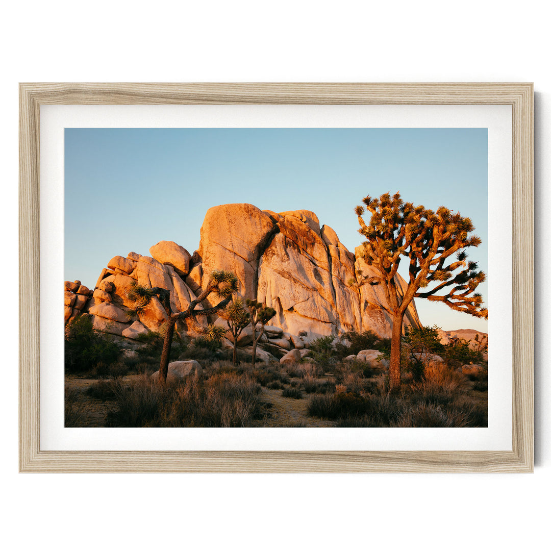 A framed photograph depicting a desert landscape with a large rock formation in the background and a tree in the foreground.