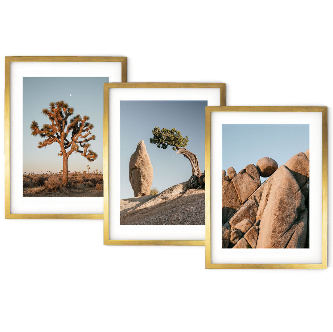 three framed photographs of rocks and a tree