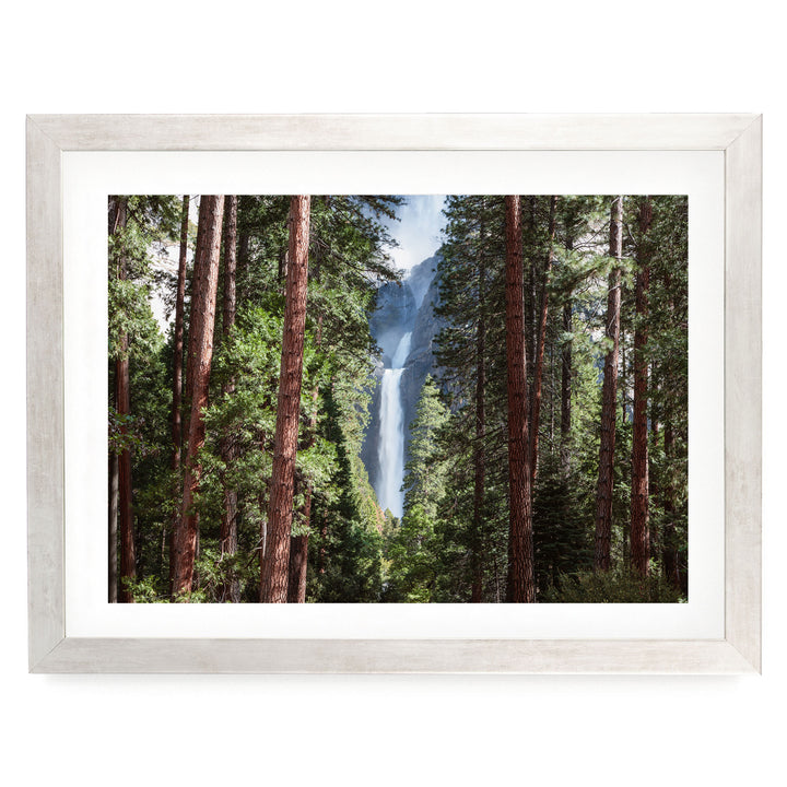 A framed photograph depicting a lush forest with tall trees and a waterfall cascading down the rocky cliff.