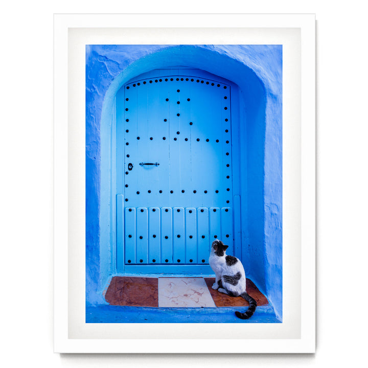 A black and white cat sits on a brown and white tile floor in front of a blue door with a decorative arch, looking up at the camera.