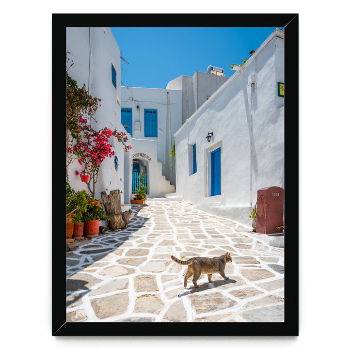 A charming street in a Mediterranean village, with white buildings, blue shutters, and a stone path. A cat is walking on the path, adding a touch of life to the scene.