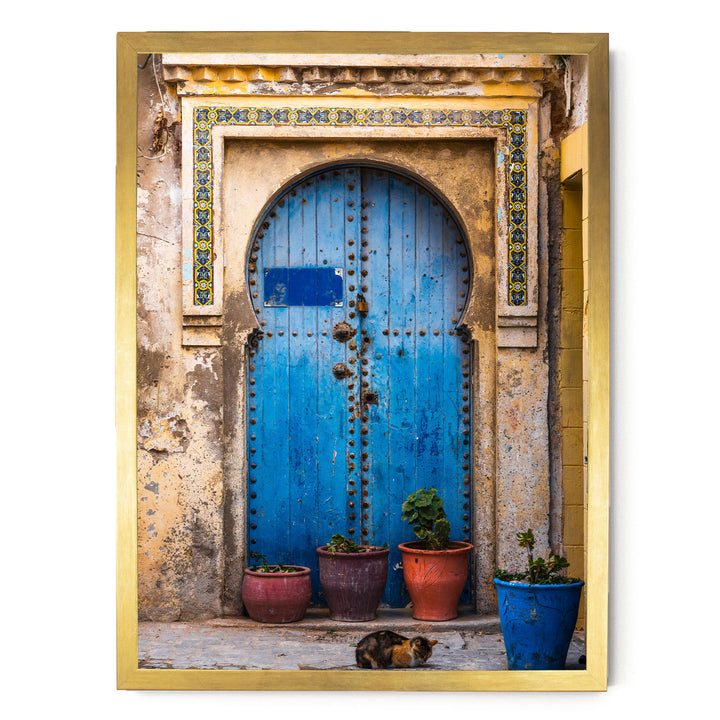 a blue wooden door with a decorative archway, flanked by three potted plants, and a cat resting on the ground in front of the door.