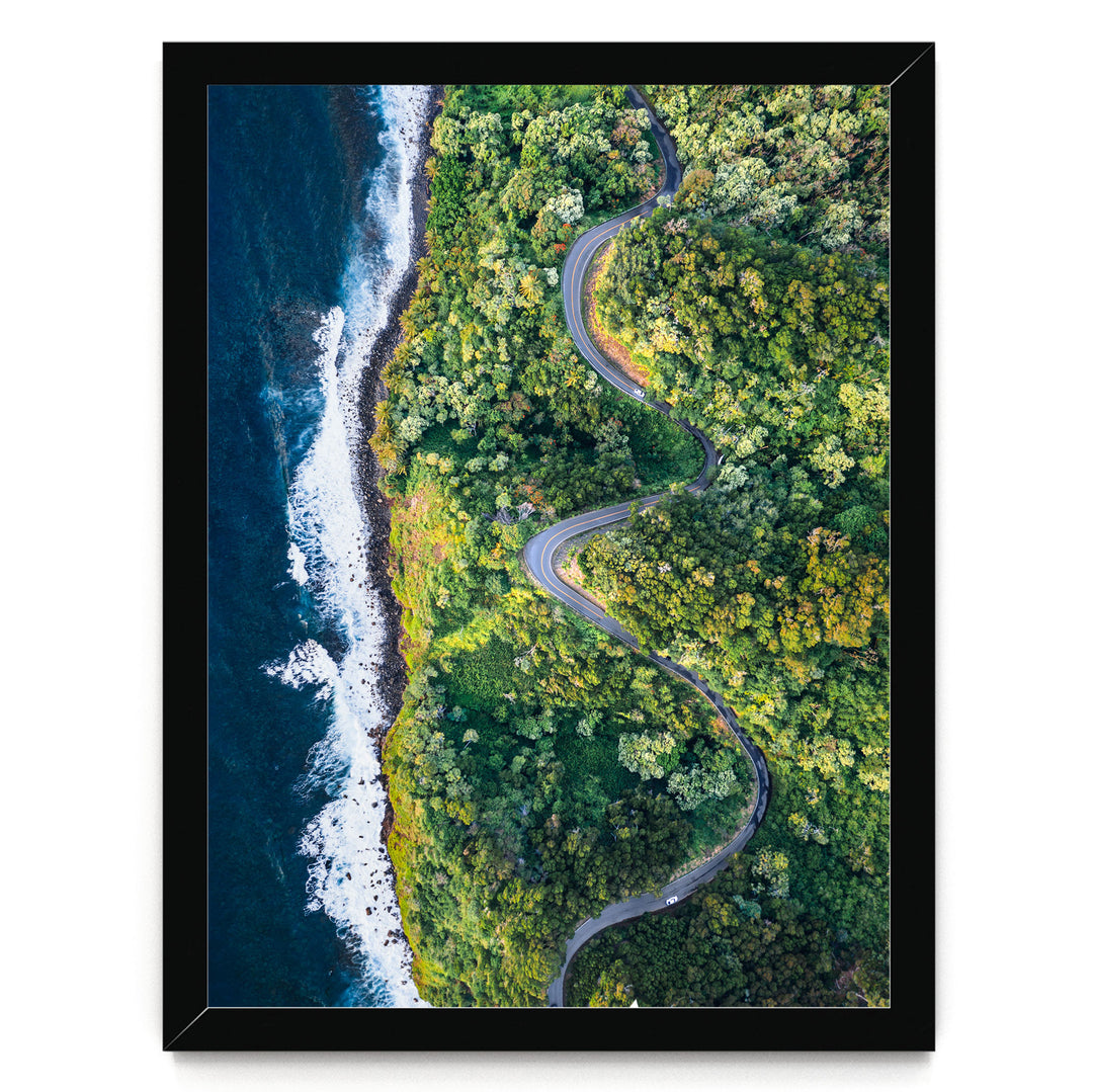 The image is an aerial view of a winding road cutting through a lush, green forest near the ocean.