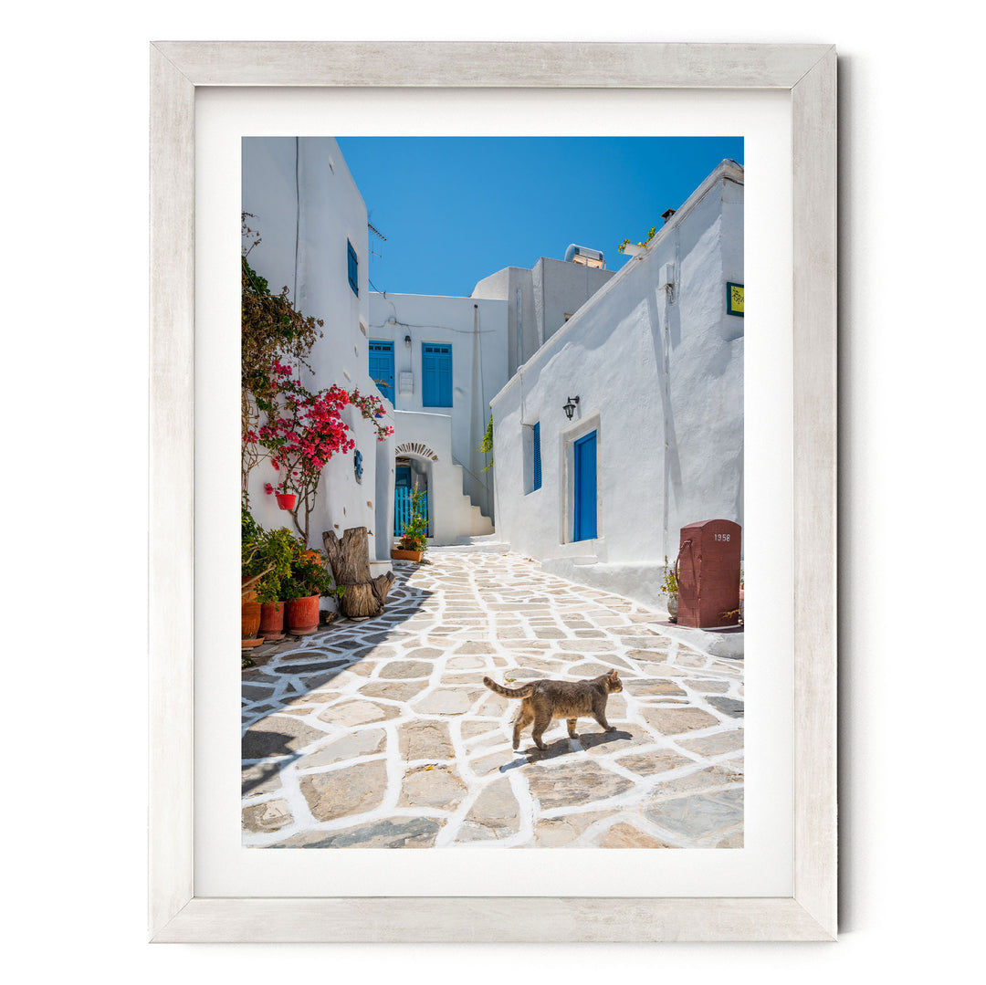 A white building with blue accents and a red door, surrounded by potted plants and a stone path, with a cat walking on the path.