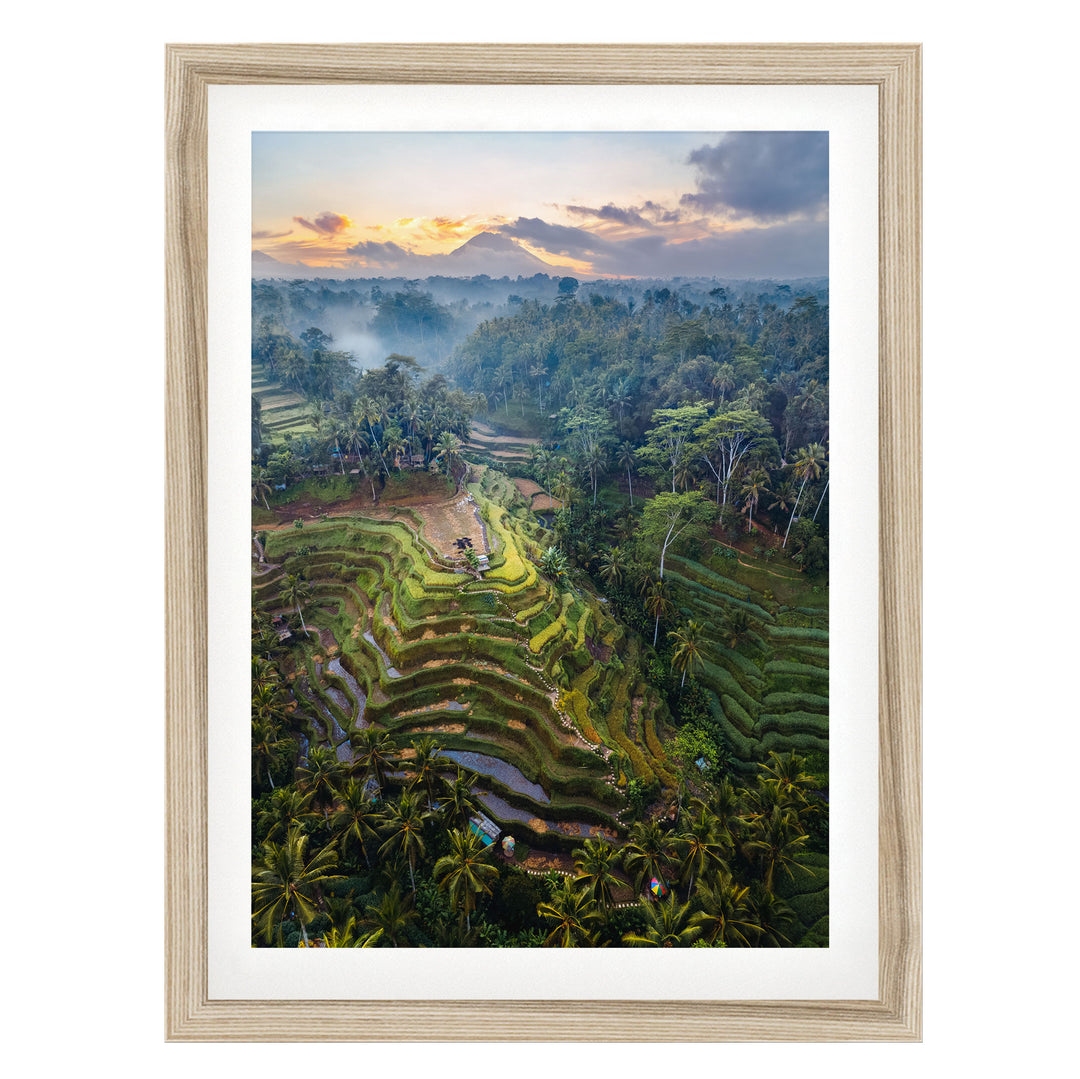 a lush, tropical landscape with terraced rice fields, palm trees, and a mountain range in the distance, all bathed in the warm glow of a sunset.