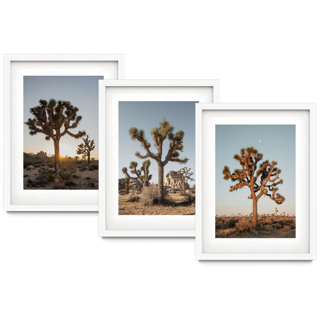 three pictures of a joshua tree in the desert