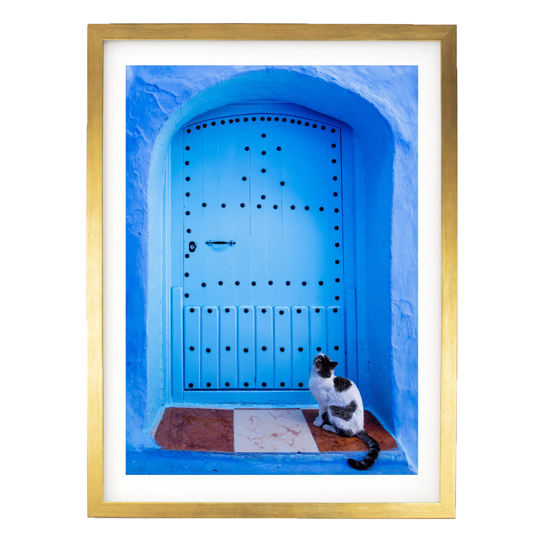 A black and white cat sits on a red and white checkered mat in front of a blue door with a gold frame.