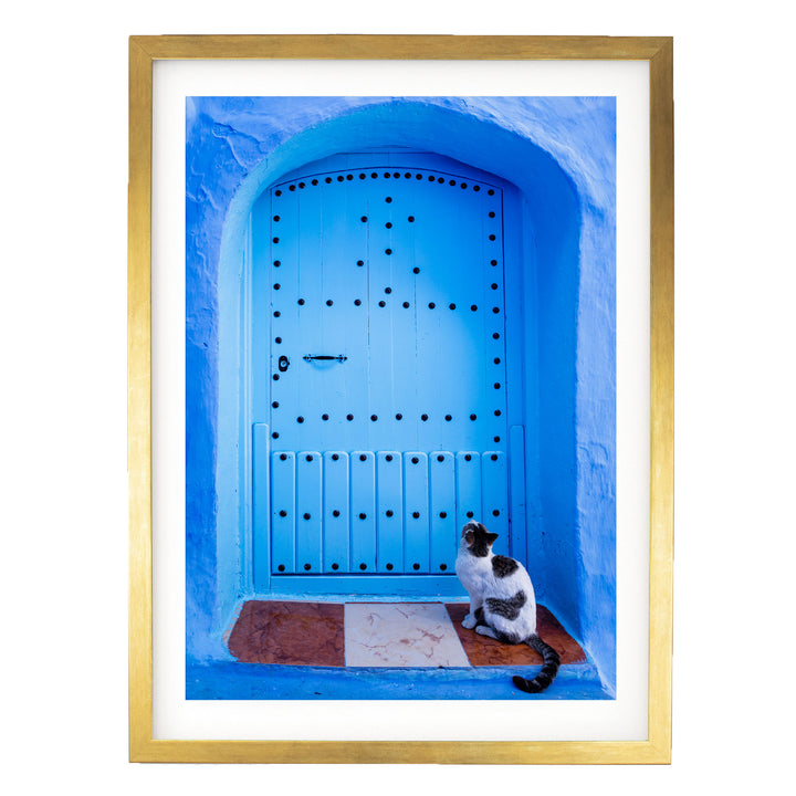 A black and white cat sits on a red and white checkered mat in front of a blue door with a gold frame.