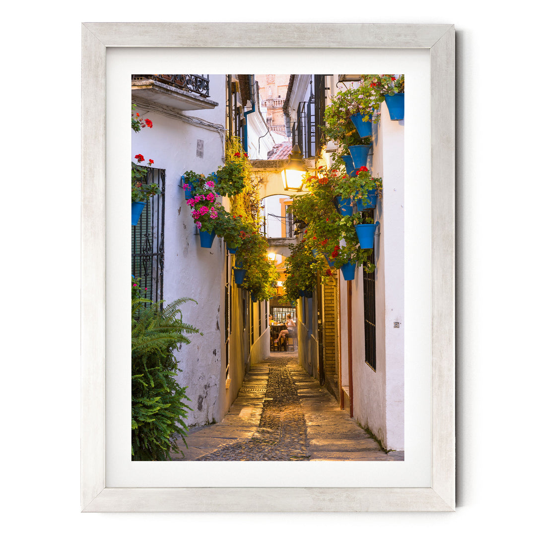 A narrow cobblestone street lined with colorful flower pots and plants, creating a charming and picturesque scene.