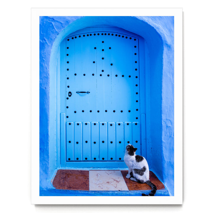 A black and white cat sits on a brown and white tile floor, gazing up at a blue wooden door with a decorative pattern.
