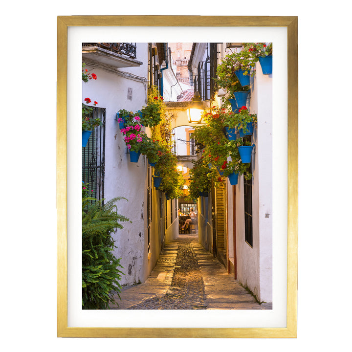 A narrow cobblestone street lined with colorful flower pots and plants, creating a charming and picturesque scene.