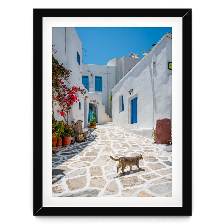 A cat walks down a cobblestone street lined with white buildings and colorful flowers, framed in a black frame.