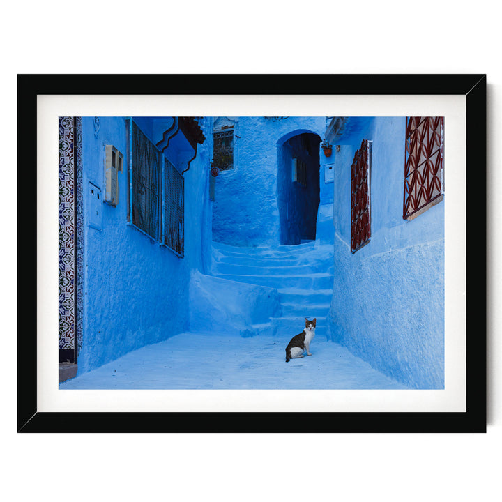 Cat in the Blue City, Chefchaouen, Morocco – fine art print in a black frame with white mat