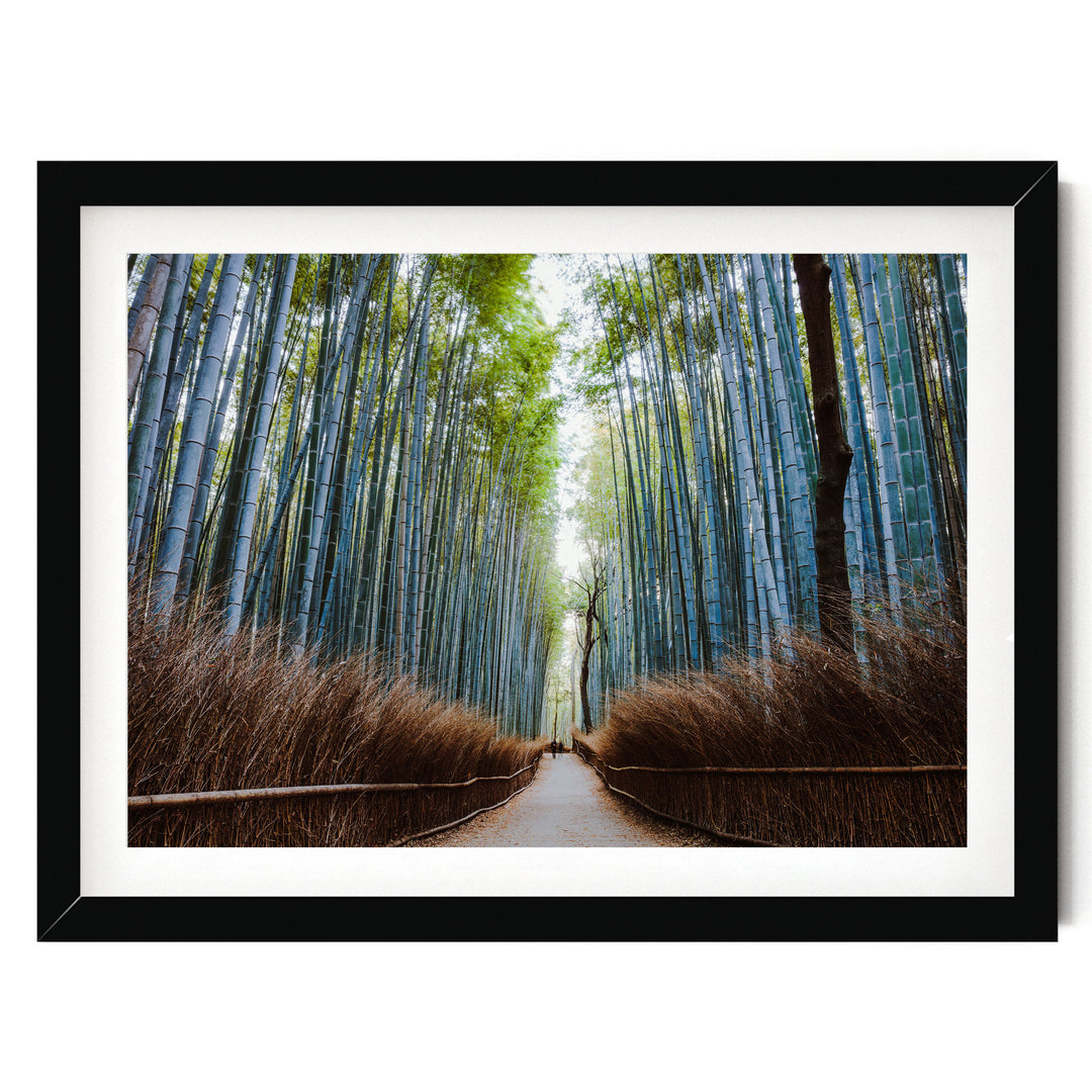 Bamboo Forest, Kyoto I, Japan – fine art print in a black frame with white mat