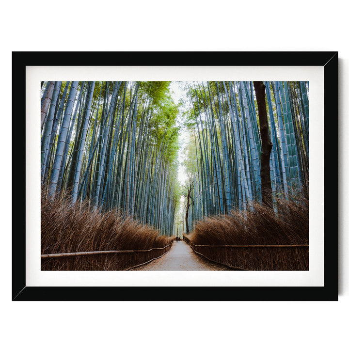 Bamboo Forest, Kyoto I, Japan – fine art print in a black frame with white mat