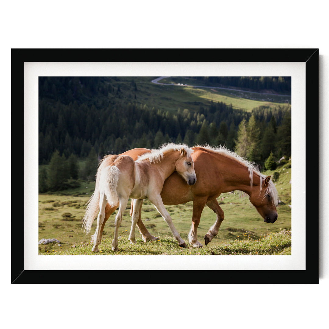 Wild Horses – fine art print in a black frame with white mat