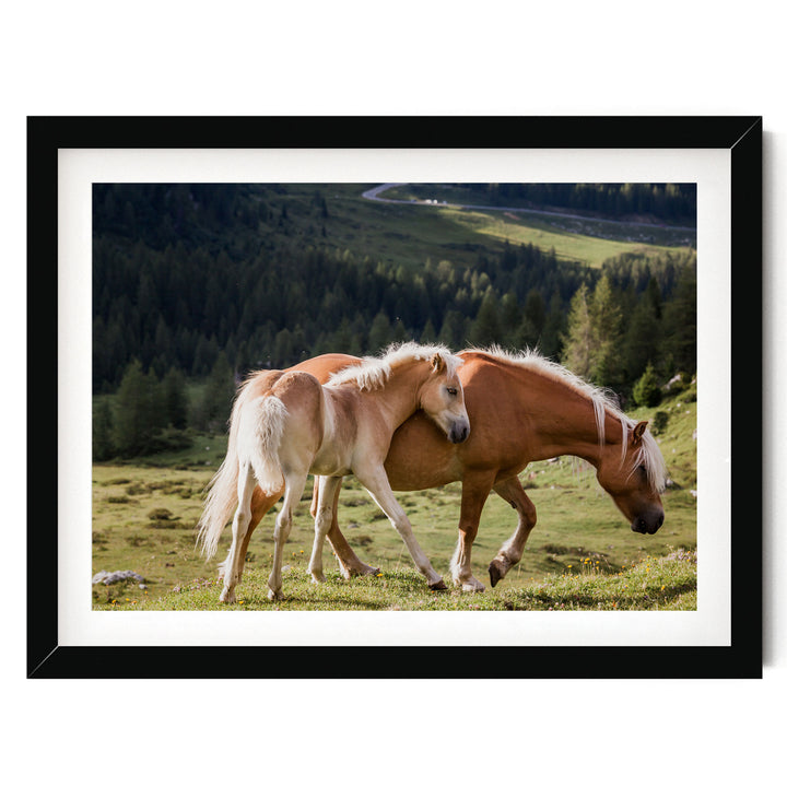 Wild Horses – fine art print in a black frame with white mat