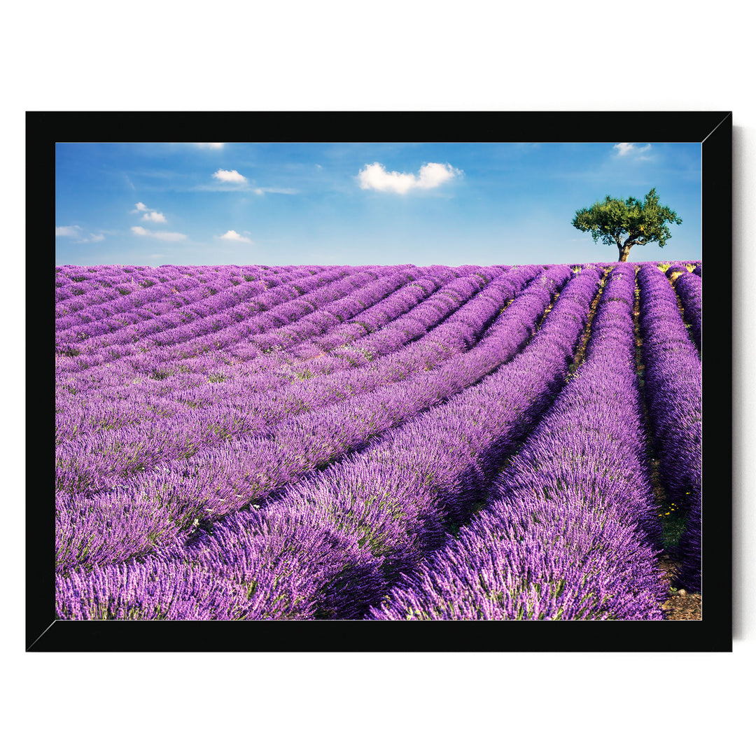 Summer in Provence, France – fine art print in a black frame, no mat