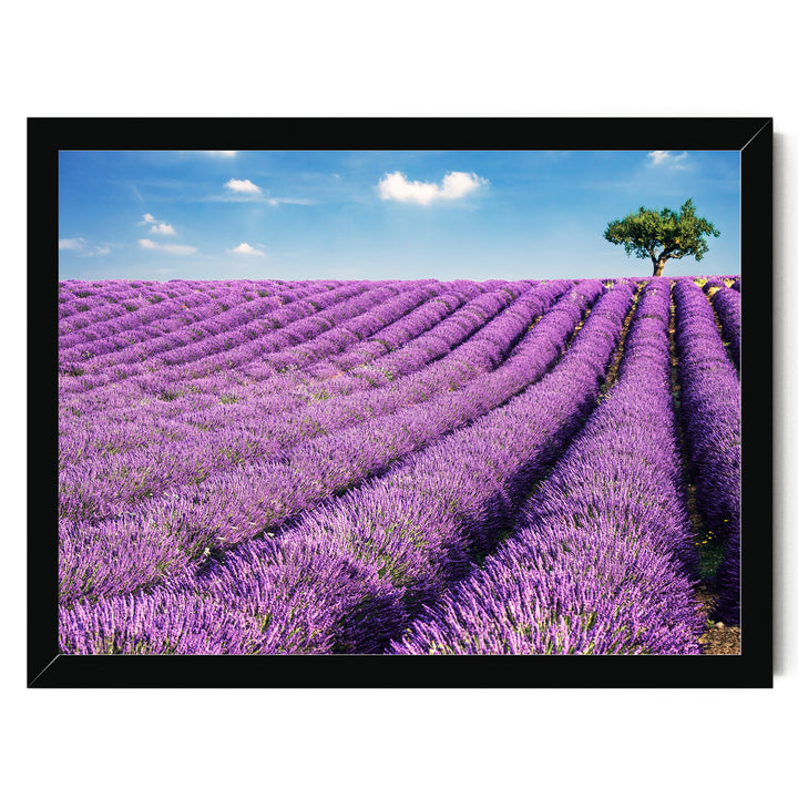 Summer in Provence, France – fine art print in a black frame, no mat