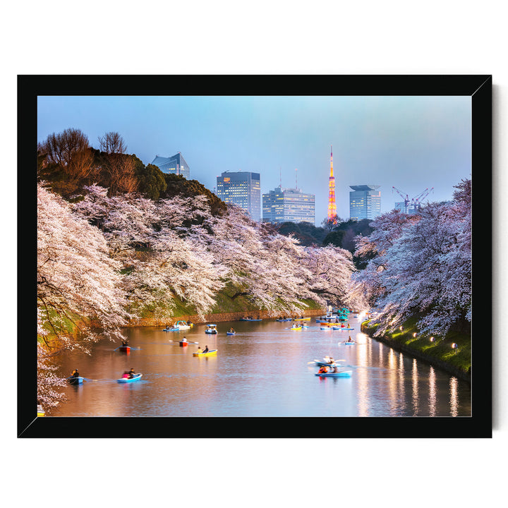 Cherry Blossoms in Tokyo, Japan – fine art print in a black frame, no mat