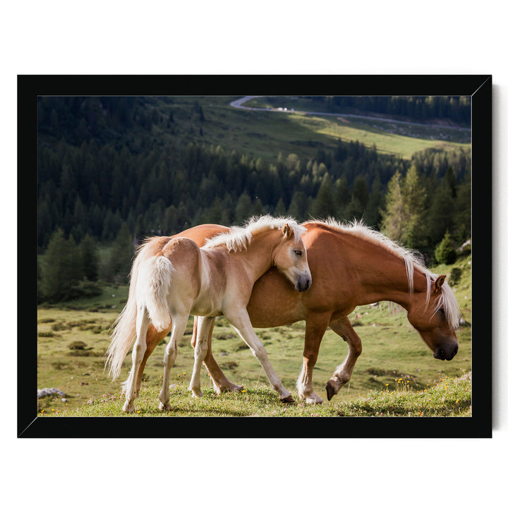 Wild Horses – fine art print in a black frame, no mat