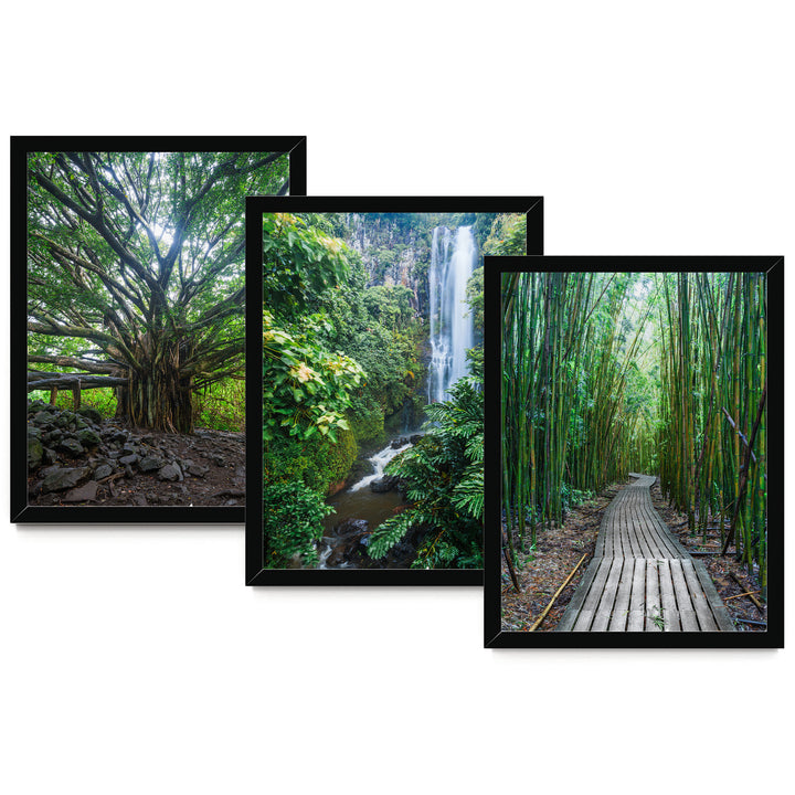 Hawaii Nature, Maui – Print Set – fine art print set in black frames, no mat