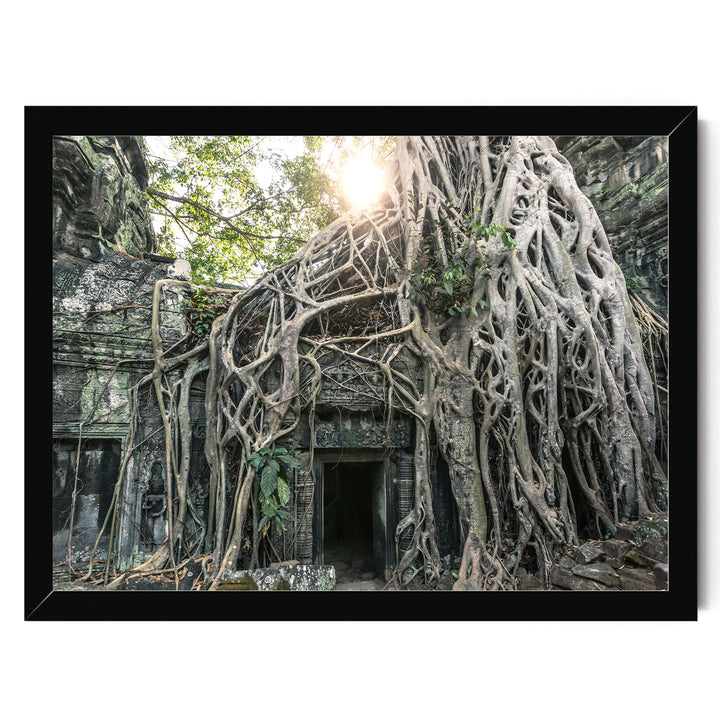 Jungle Temple, Angkor, Cambodia – fine art print in a black frame, no mat