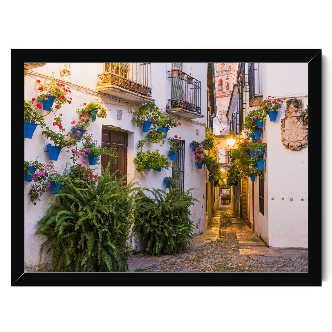 Flower Alley, Córdoba II, Spain – fine art print in a black frame, no mat