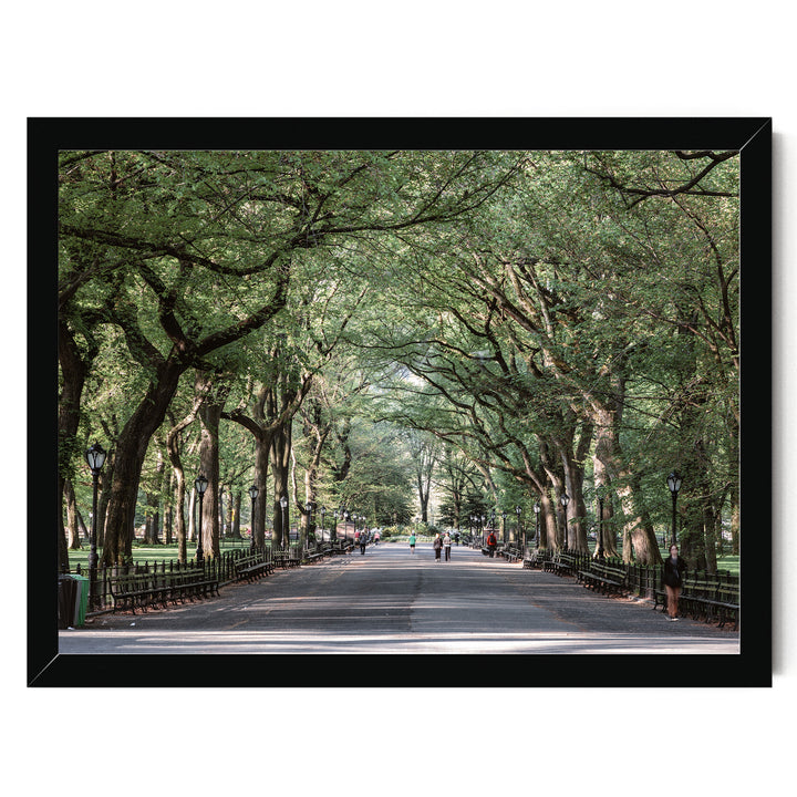 The Mall, Central Park, New York City – fine art print in a black frame, no mat