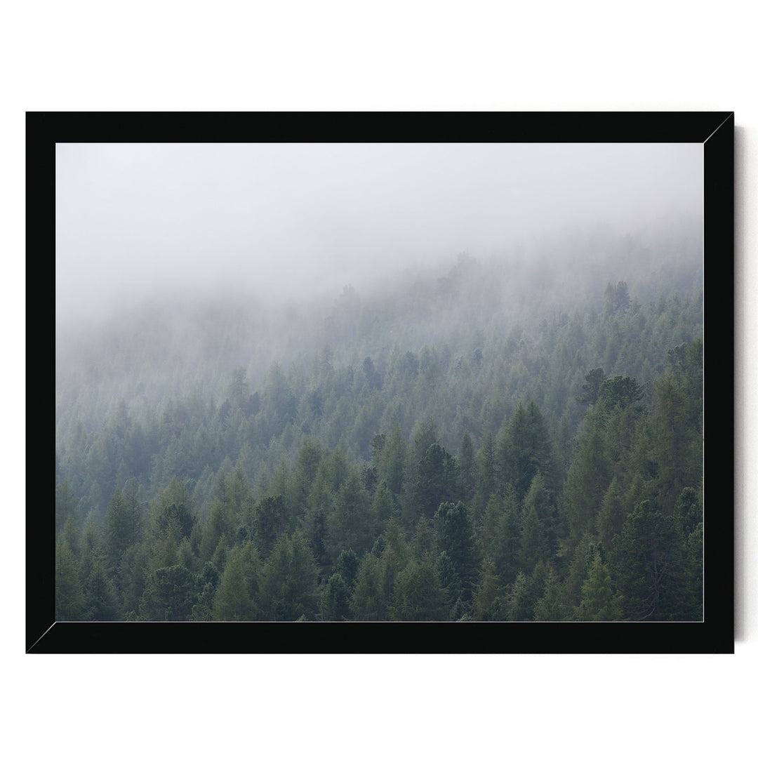 Misty Forest – fine art print in a black frame, no mat