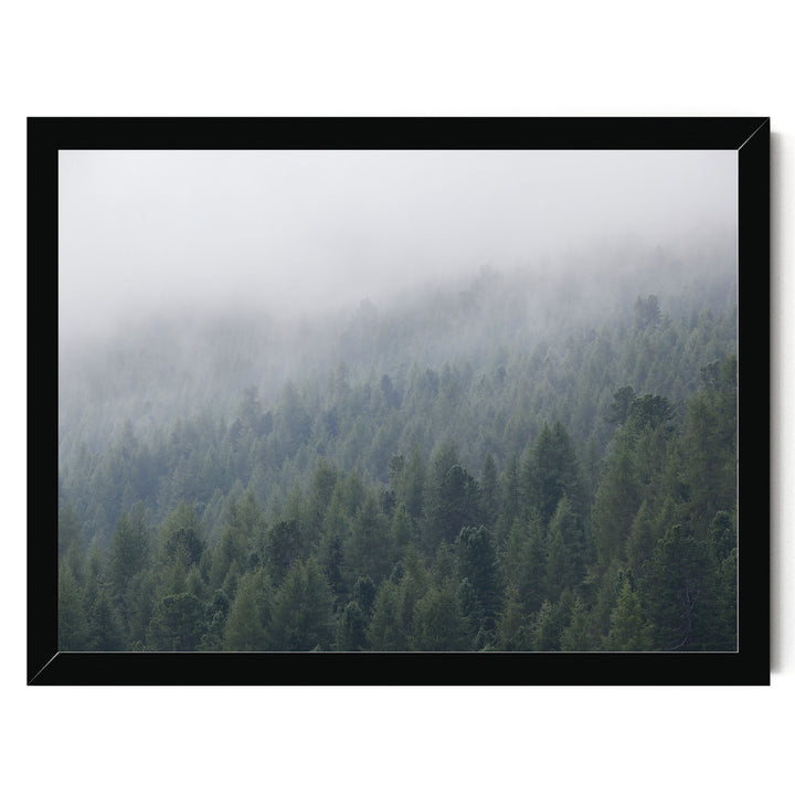 Misty Forest – fine art print in a black frame, no mat