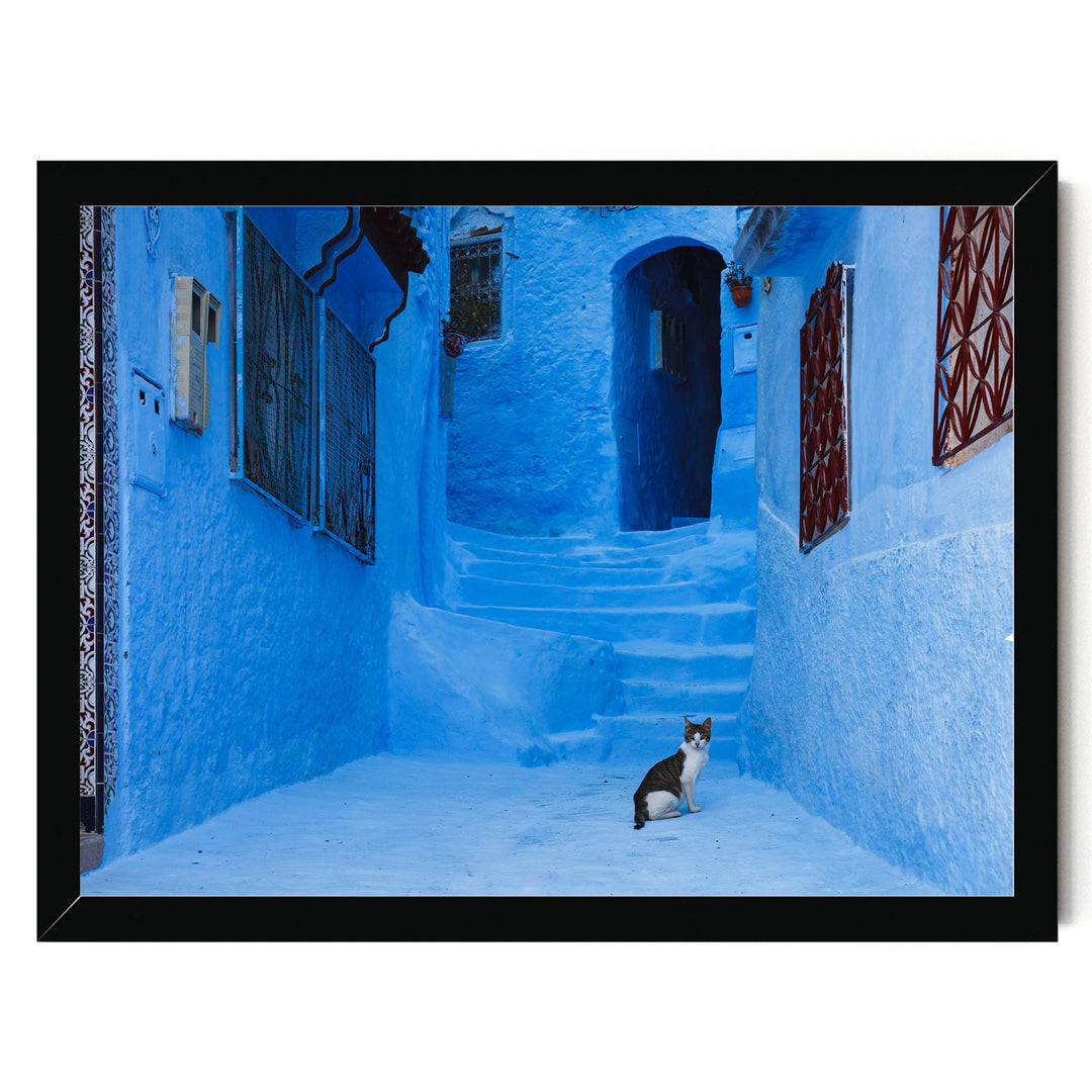Cat in the Blue City, Chefchaouen, Morocco – fine art print in a black frame, no mat
