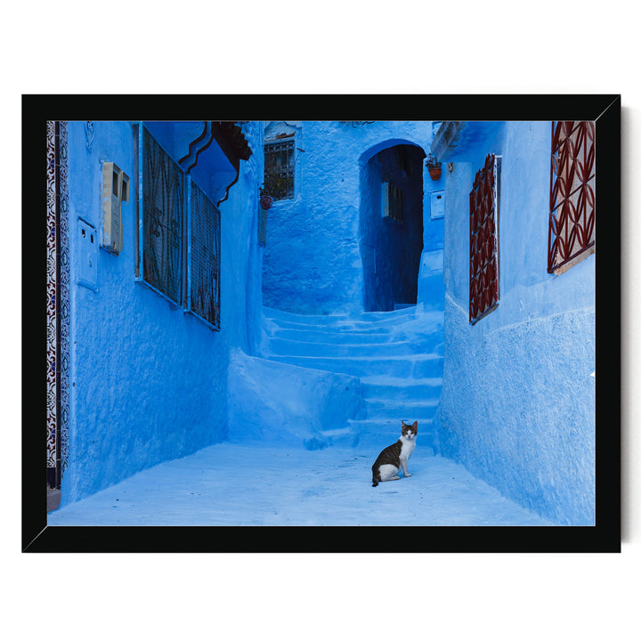Cat in the Blue City, Chefchaouen, Morocco – fine art print in a black frame, no mat