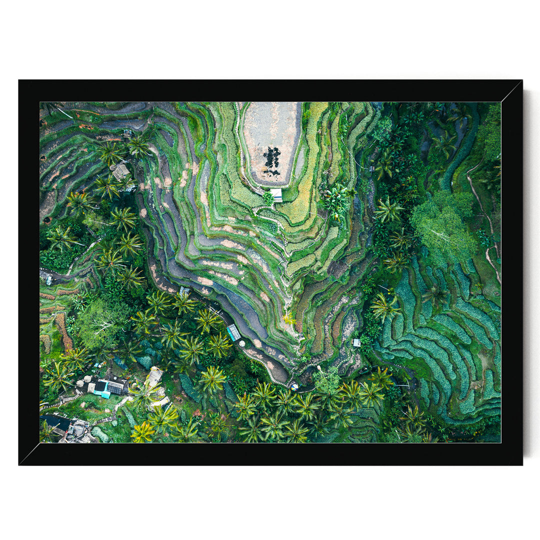 Rice Paddy, Bali I, Indonesia – fine art print in a black frame, no mat