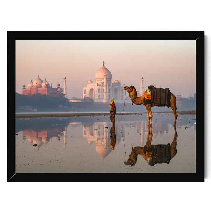 Camel at Taj Mahal, Agra, India – fine art print in a black frame, no mat