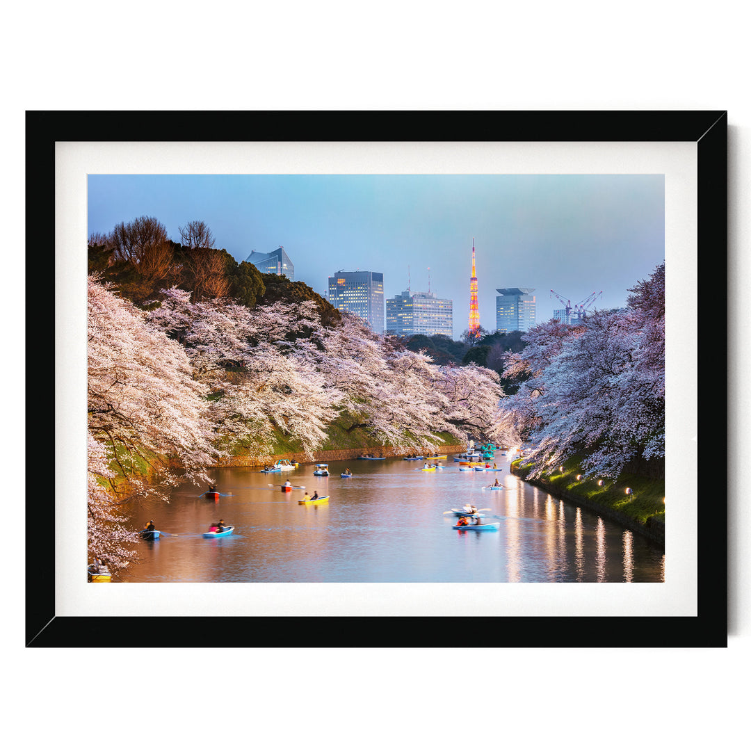 Cherry Blossoms in Tokyo, Japan – fine art print in a black frame with white mat