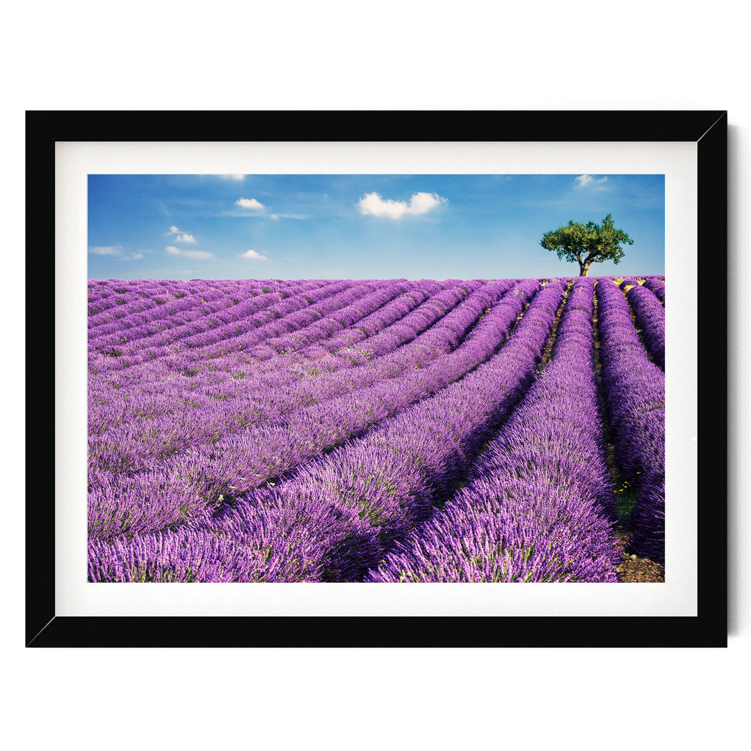Summer in Provence, France – fine art print in a black frame with white mat
