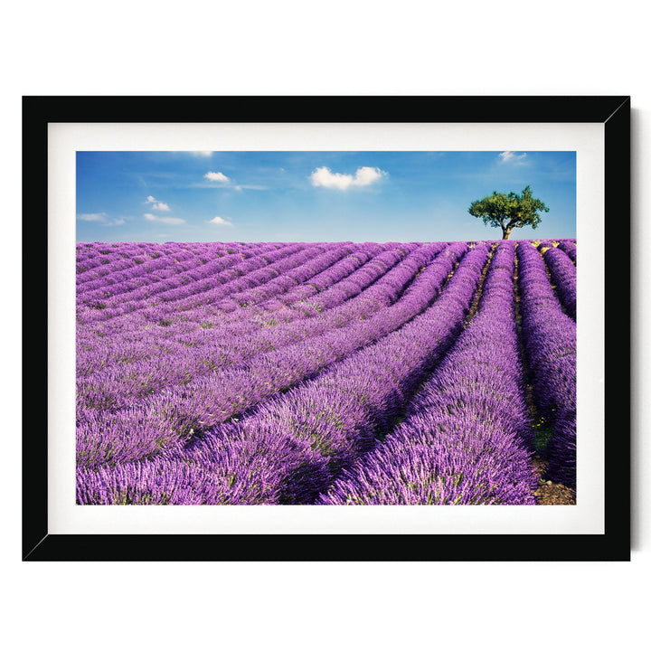 Summer in Provence, France – fine art print in a black frame with white mat