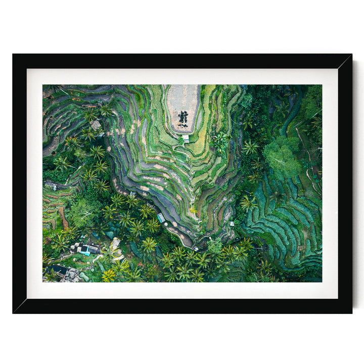Rice Paddy, Bali I, Indonesia – fine art print in a black frame with white mat