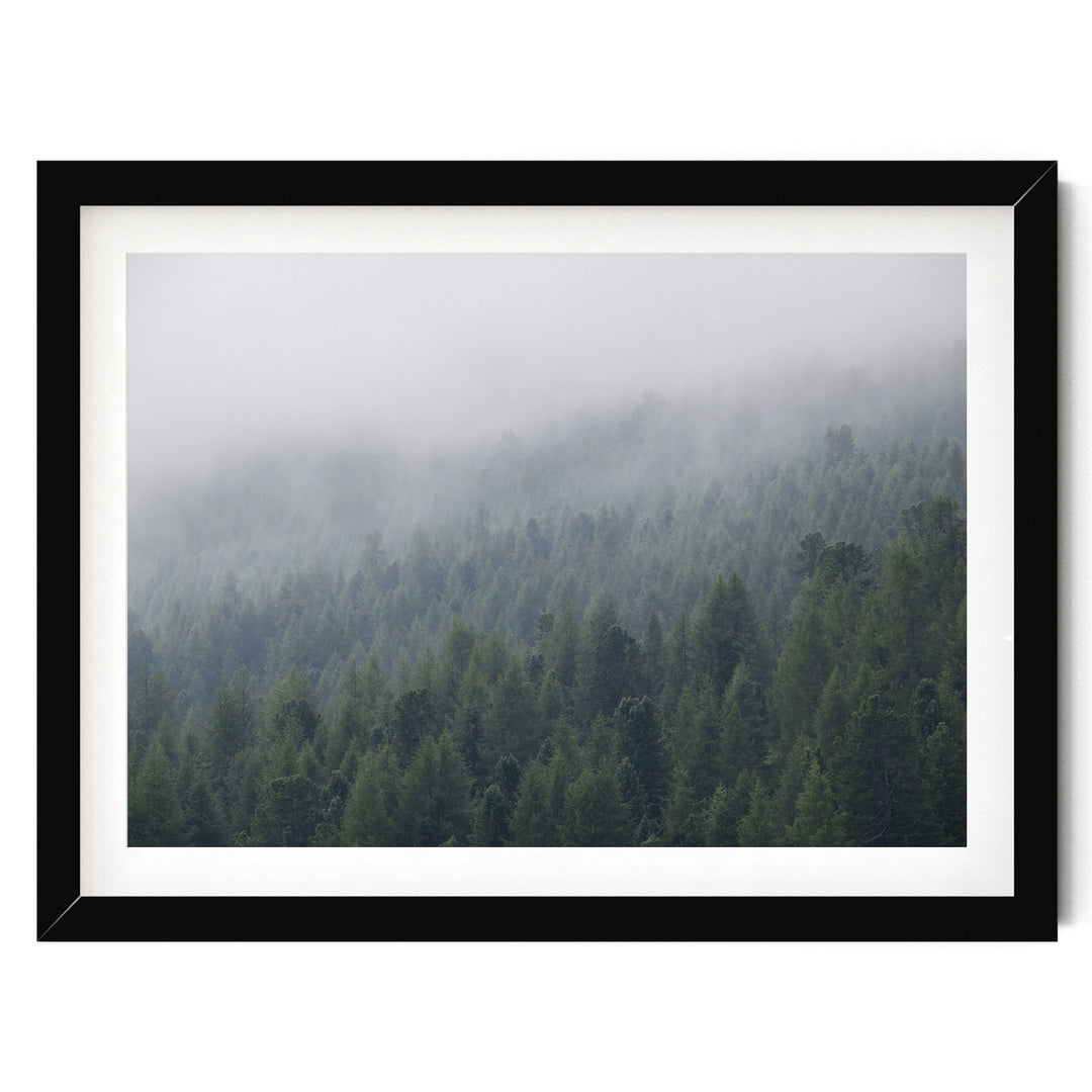 Misty Forest – fine art print in a black frame with white mat