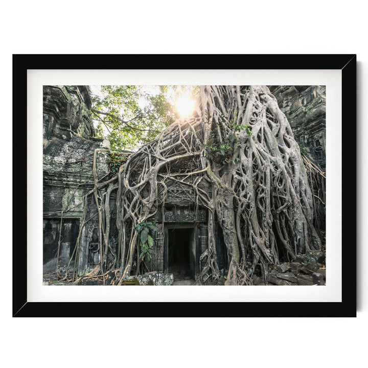 Jungle Temple, Angkor, Cambodia – fine art print in a black frame with white mat